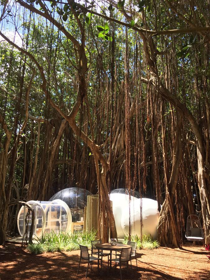 Bubble Lodge Ile Aux Cerfs Island Экстерьер фото