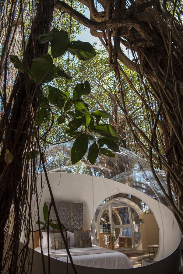 Bubble Lodge Ile Aux Cerfs Island Экстерьер фото